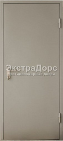 Глухая однопольная противопожарная дверь